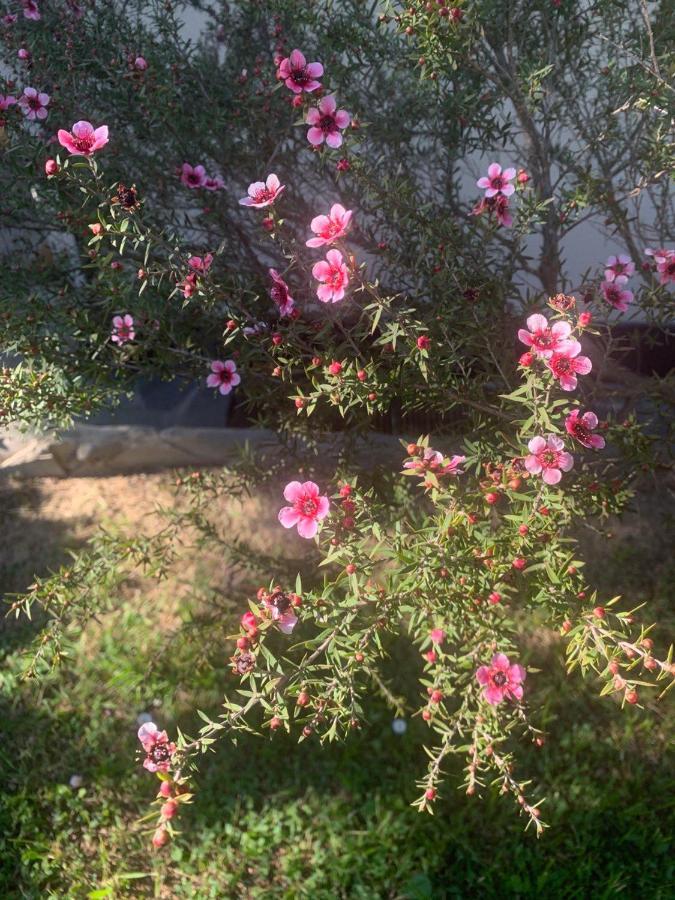 B&B Monte Di Portofino Santa Margherita Ligure Bagian luar foto